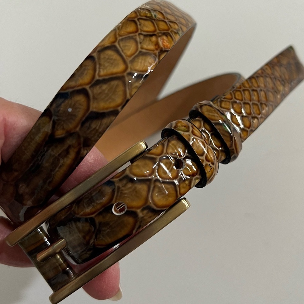 Vintage Qualheim Bollorini Reptile Snakeskin Leather Belt Gold Buckle  S